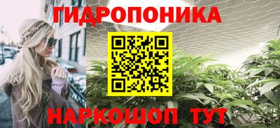 индика Рязань