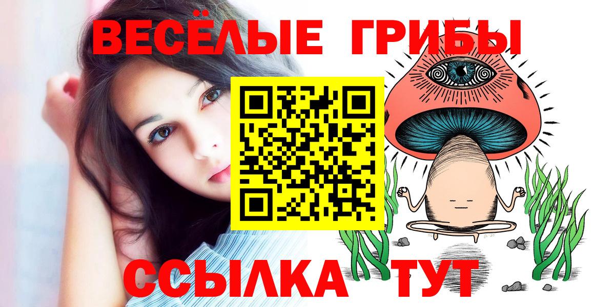 Самара  Галлюциногенные грибы GOLDEN TEACHER  Вход с VPN  Псилоцибиновые грибы мухоморы 